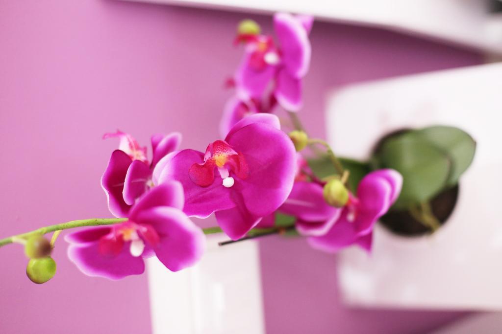 Iris Room Rom Rum bild